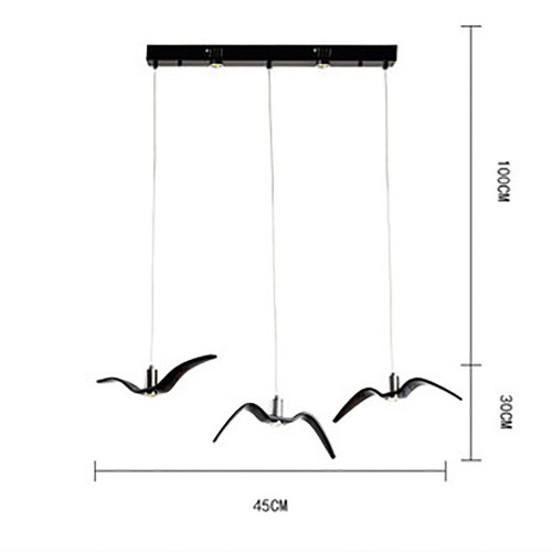 Black/White Bird