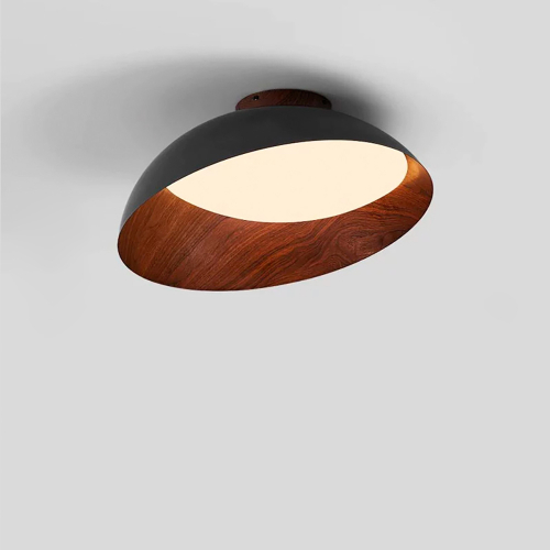 Edvin Ceiling