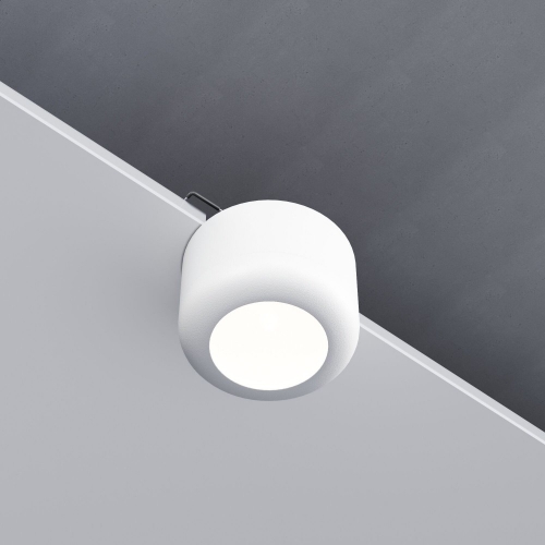 Elektrostandard 25088/LED