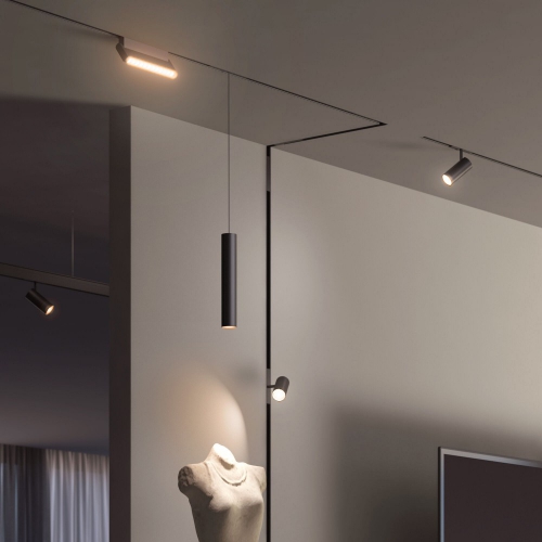 Elektrostandard 85010/01