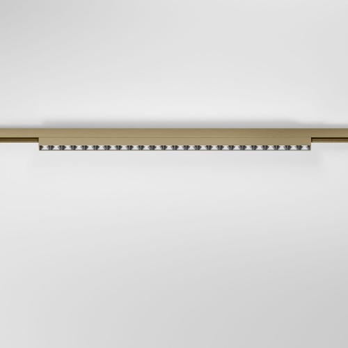 Elektrostandard 85529/01