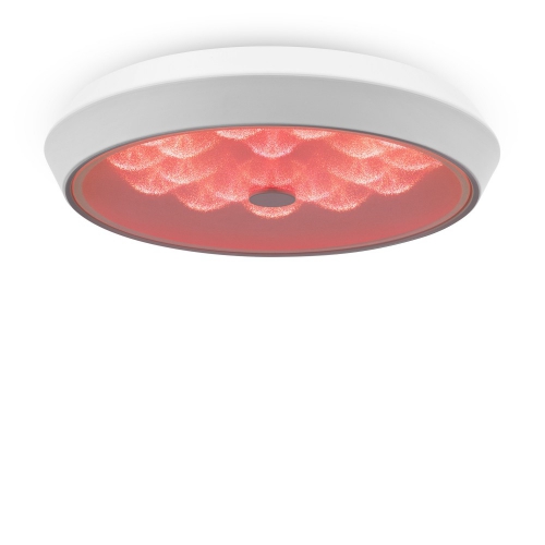 Freya FR10012CL-L24W