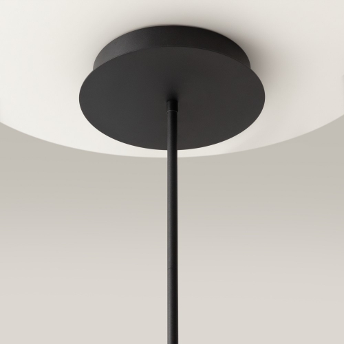 Maytoni MOD016PL-L52BK