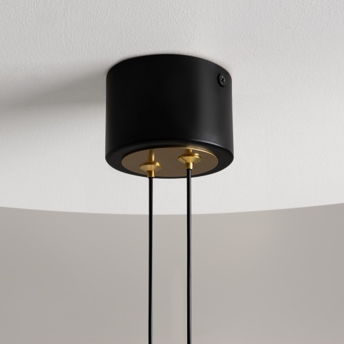 Maytoni MOD357PL-L20BS3K