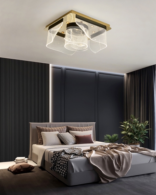 Modern Ceiling Lin