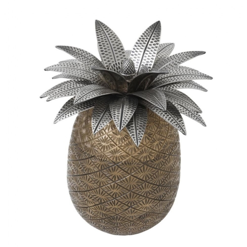 Pineapple 111553