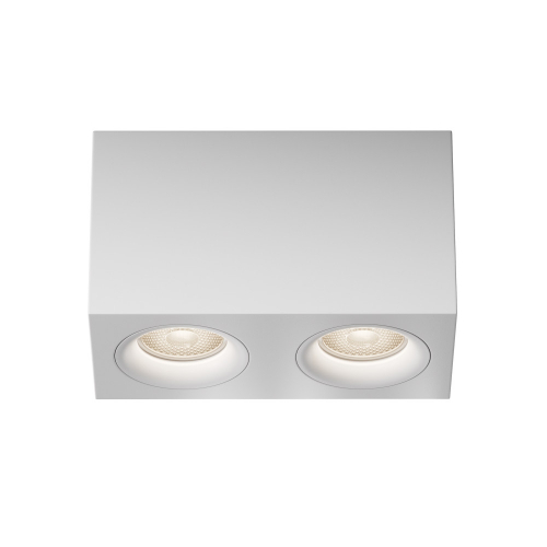 Потолочный светильник Technical C013CL-02W