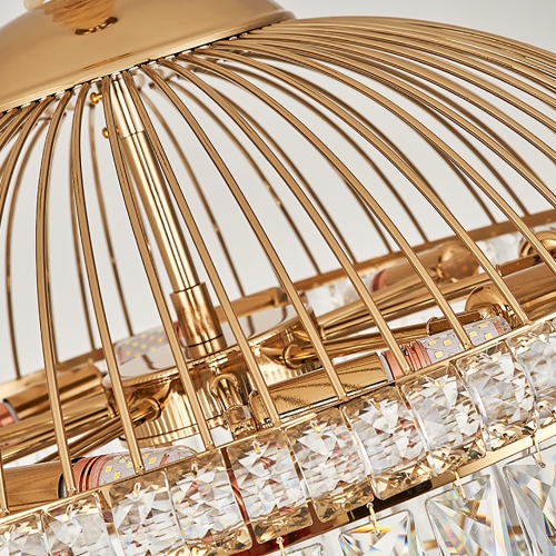 San Cage